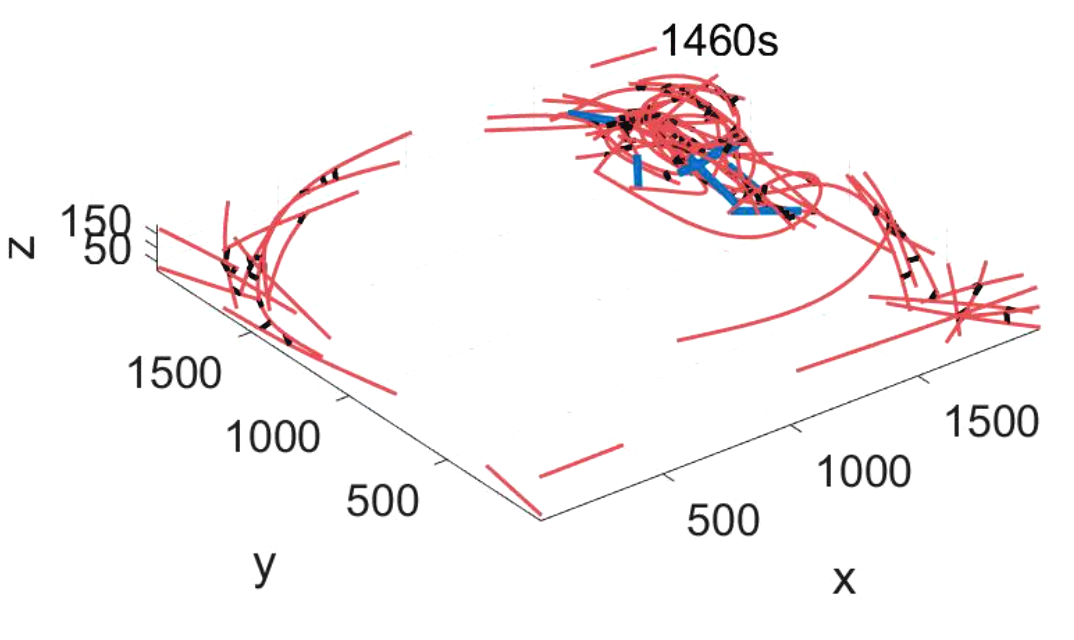 Actomyosin simulation